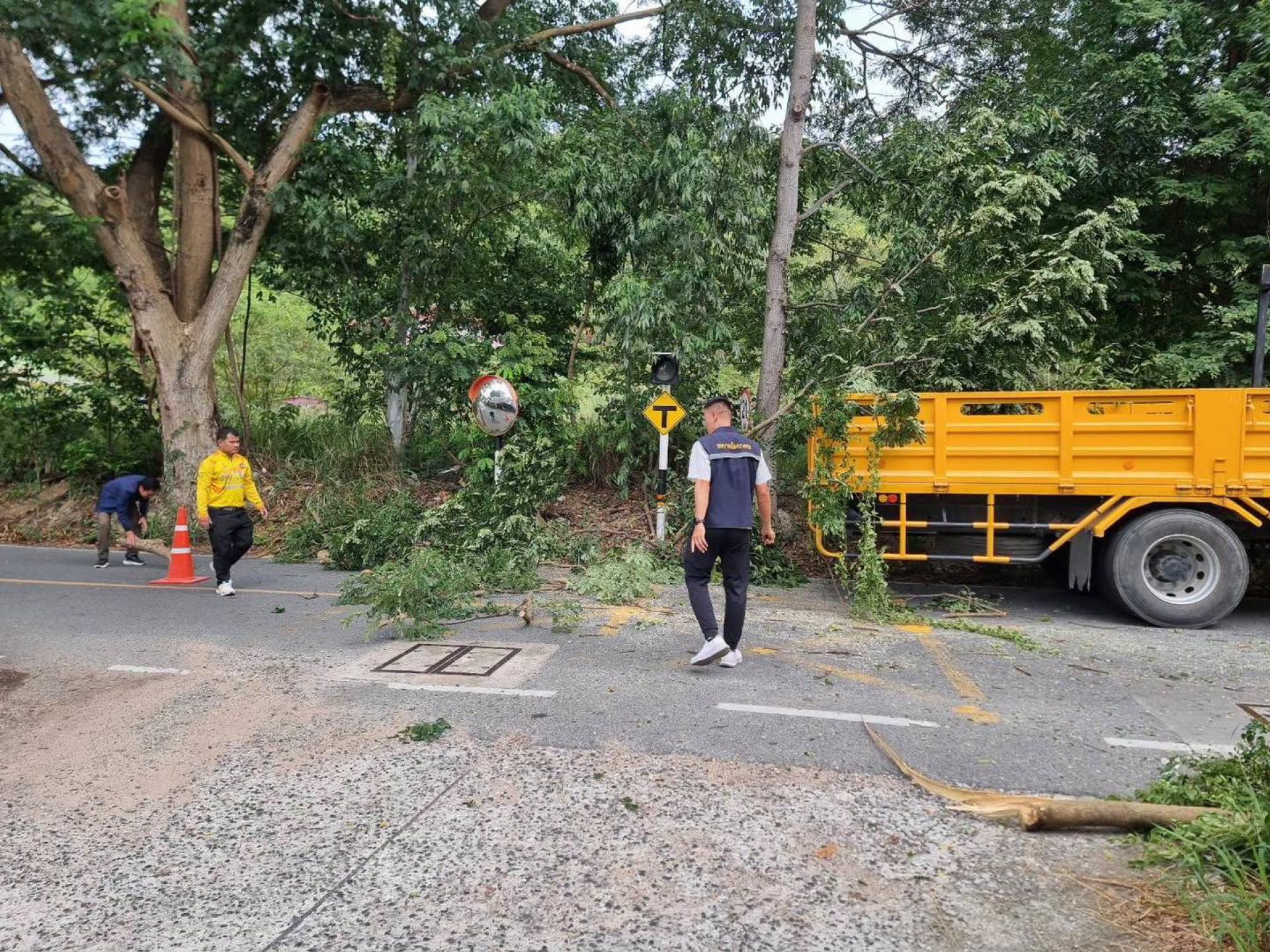 ลงพื้นที่ ม.4 บริเวณปากซอย 1 เพื่อประเมินงาน ในการตัดต้นก้ามปูใหญ่ 2 ต้น 